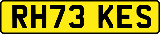 RH73KES