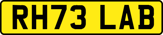 RH73LAB