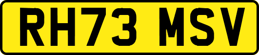 RH73MSV