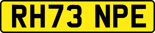 RH73NPE