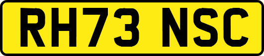 RH73NSC