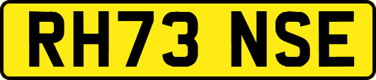 RH73NSE