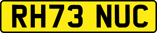 RH73NUC