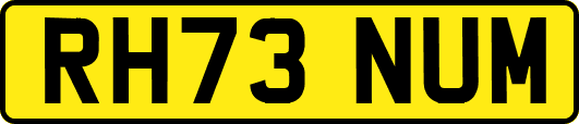 RH73NUM