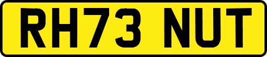 RH73NUT