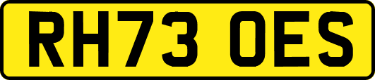 RH73OES