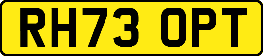 RH73OPT