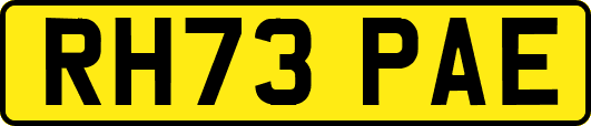 RH73PAE