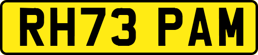 RH73PAM