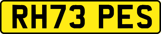 RH73PES