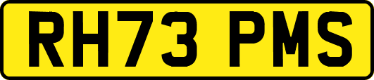 RH73PMS