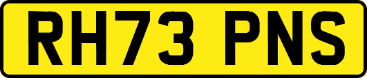 RH73PNS