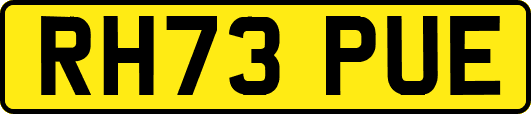RH73PUE