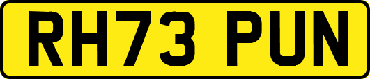 RH73PUN