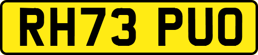 RH73PUO