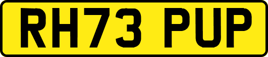 RH73PUP