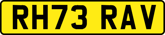 RH73RAV