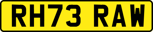 RH73RAW
