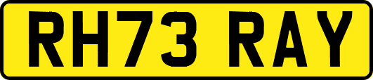 RH73RAY