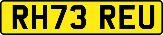 RH73REU