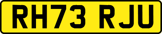 RH73RJU