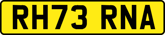 RH73RNA