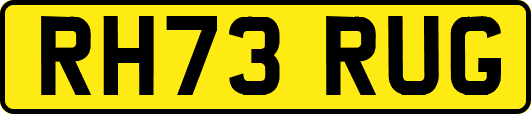RH73RUG