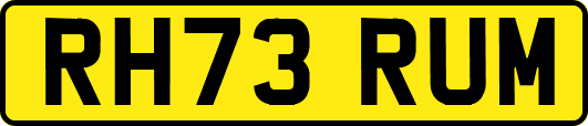 RH73RUM
