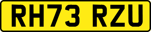RH73RZU