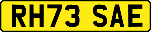 RH73SAE
