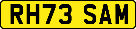 RH73SAM