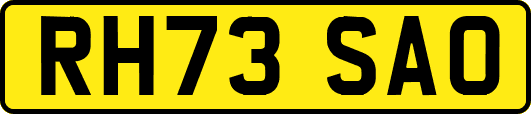 RH73SAO