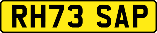 RH73SAP
