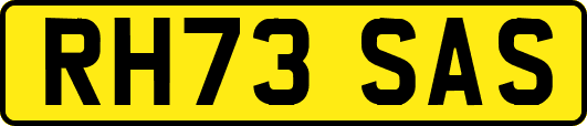RH73SAS