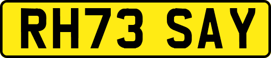 RH73SAY