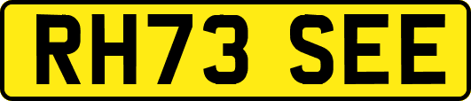 RH73SEE