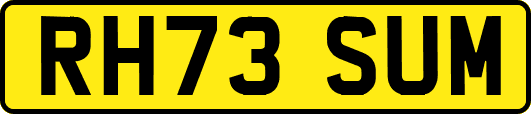 RH73SUM