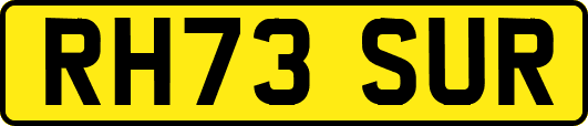 RH73SUR