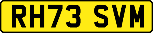 RH73SVM