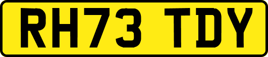 RH73TDY
