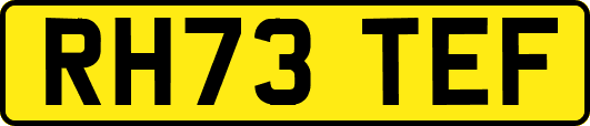 RH73TEF