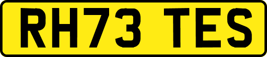 RH73TES