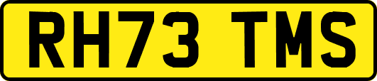 RH73TMS