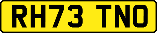 RH73TNO