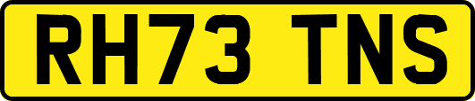RH73TNS