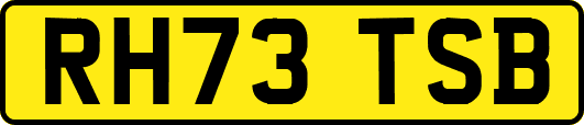 RH73TSB