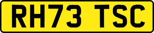 RH73TSC