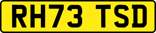 RH73TSD