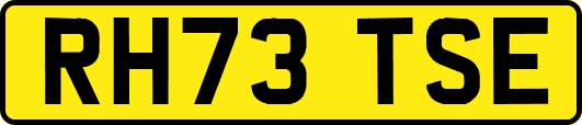 RH73TSE