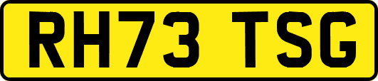 RH73TSG